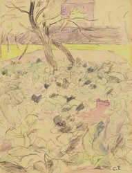 The Cabbage Field, c.1880